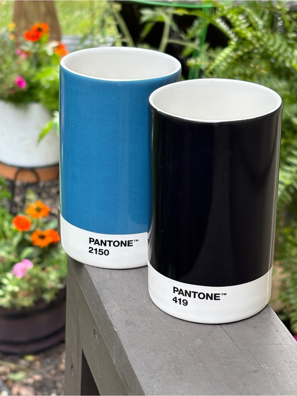 Pantone Color Cups, Designer - Blue 2150 & Black 419